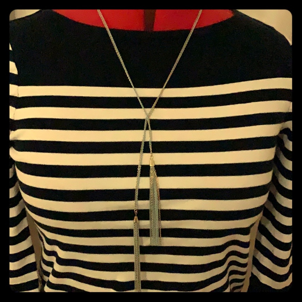 Charming Charlie Necklace